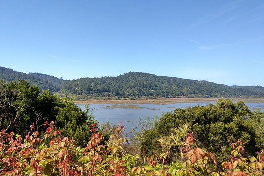 Tour image 6